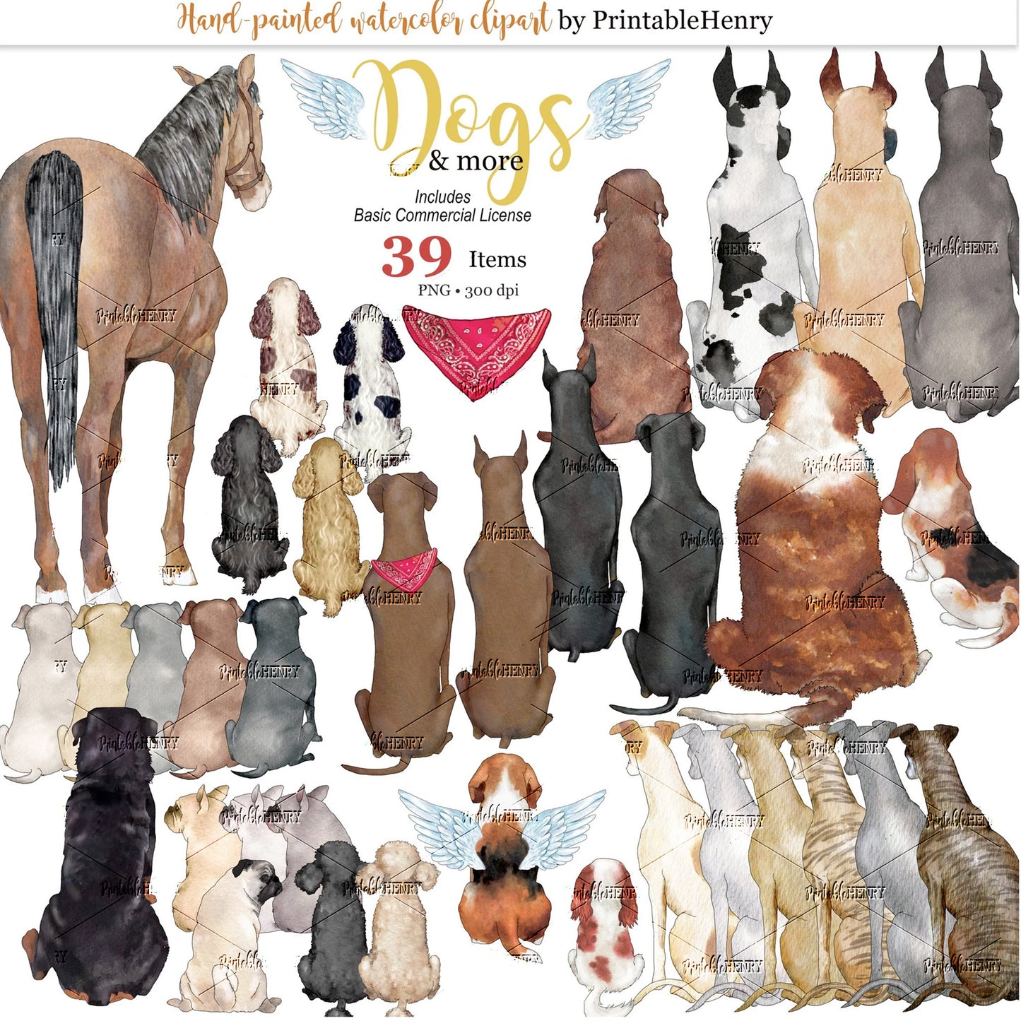 Dogs and More clipart